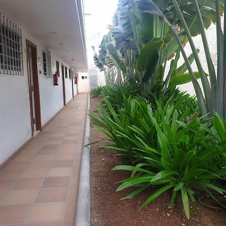 El Apartamento De Concha Apartment San Agustin  Exterior photo